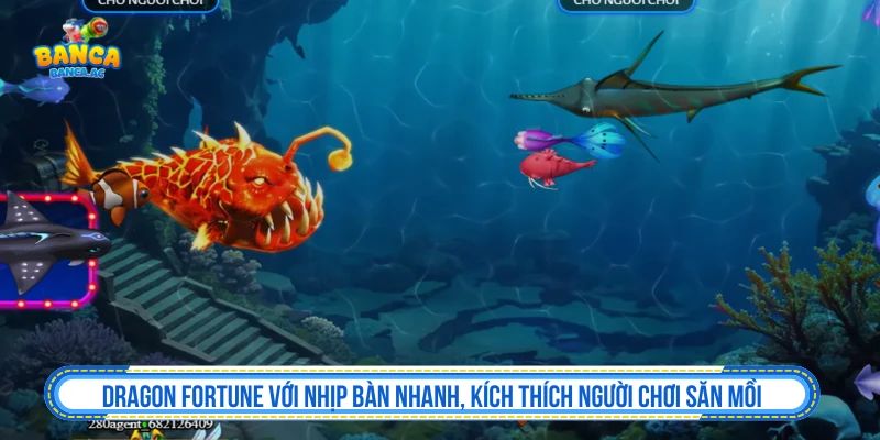 Bắn Cá Đổi Thưởng - Top Game Bắn Cá Đổi Thưởng 2026 Dragon Fortune với nhịp bàn nhanh, kích thích người chơi săn mồi