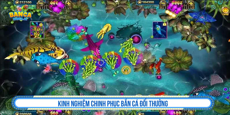 Bắn Cá Đổi Thưởng - Top Game Bắn Cá Đổi Thưởng 2026 Kinh nghiệm chơi thắng bắn cá đổi thưởng